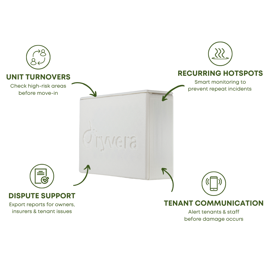 Dryvera pilot options image